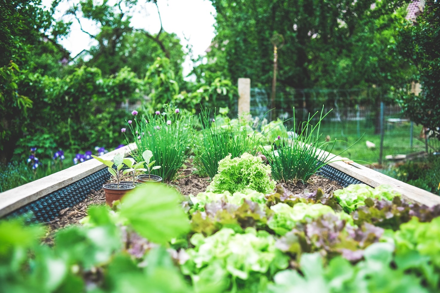 Top Features of Mediterranean-Inspired Sustainable Living