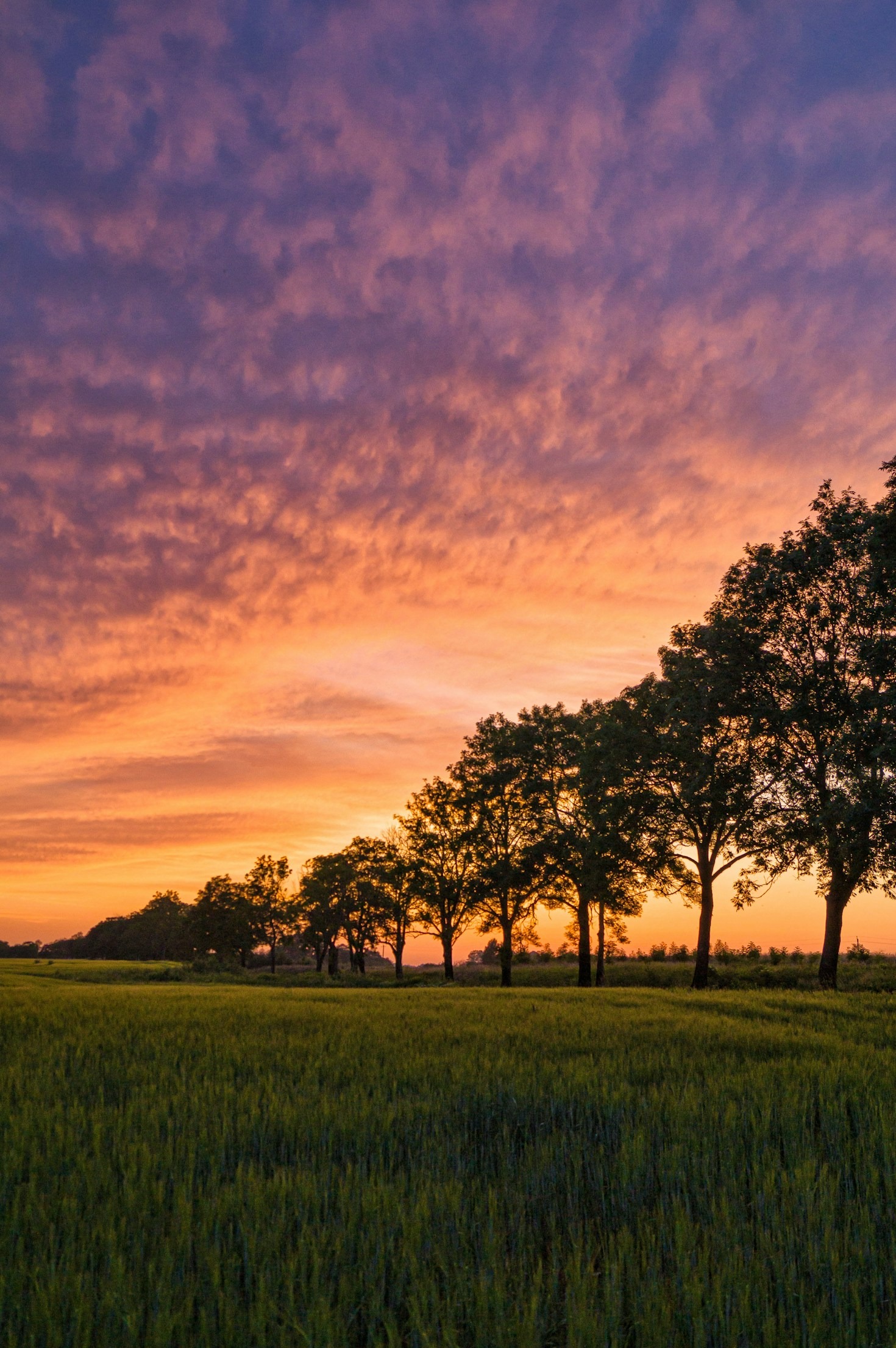 The Rise of Green Innovation in Urban Spaces