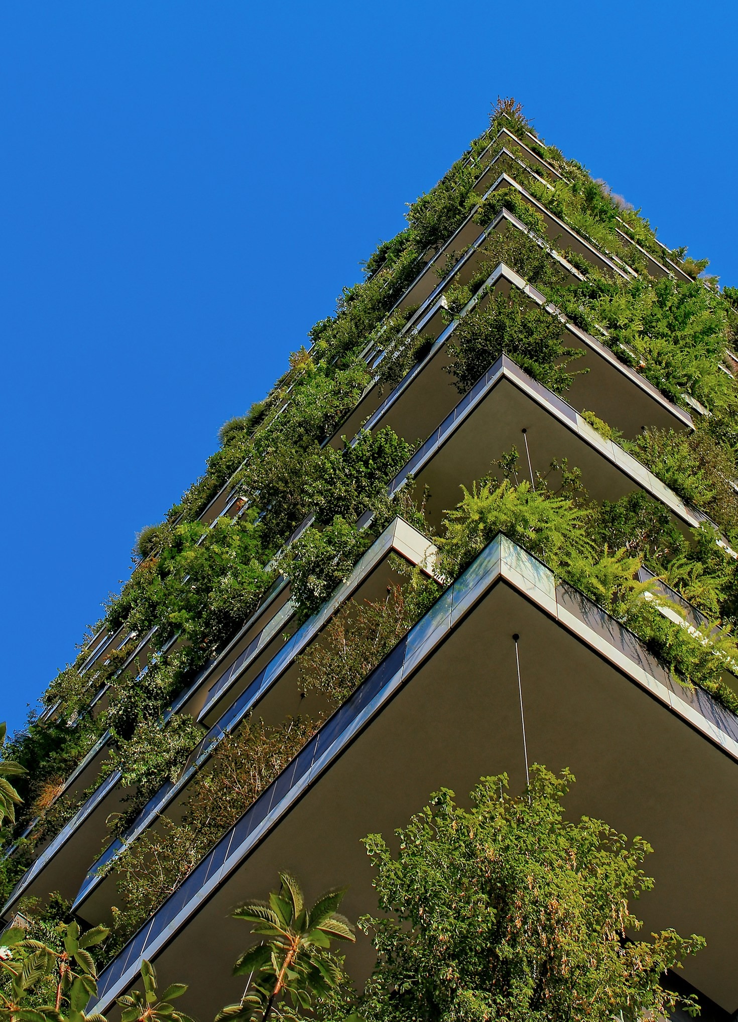 Bringing Serenity into Modern Living Environments